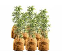 Royal Gardineer 8 housses d’hivernage pour pot 70 x 65 cm