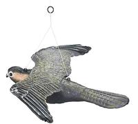 Royal Gardineer Faucon anti-oiseaux à suspendre