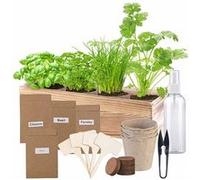 Royal Gardineer Set de culture d'aromates avec 4 aromates et accessoires