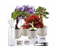 Royal Gardineer Set de culture de bonsaï avec 4 types de graines