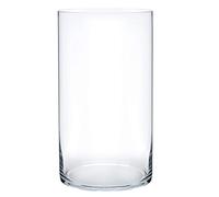 Royal Imports Flower Glass Vase Decorative Centerpiece for Home Or Wedding - Cylinder Shape, 12" Tall, 6" Opening, Clear