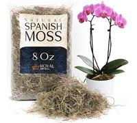 Royal Imports Mousse espagnole