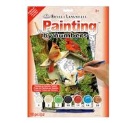 Royal & Langnickel Native Neighbors Design Paint by Numbers Kit