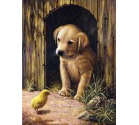 Royal & Langnickel Paint by numbers Labrador