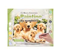 Royal & Langnickel PJL12 Peinture d'après les chiffres Chien Golden Retriever avec chiots