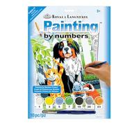 Royal & Langnickel PJS29 Peinture d'après les chiffres Taille A4 Animaux domestiques