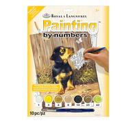 Royal & Langnickel PJS51 Peinture d'après les chiffres Taille A4 Chiot teckel