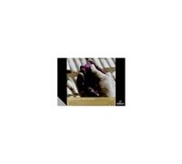 ROYAL TALENS REMBRANDT Künstlerblock ´Pastell´, A4, dunkel