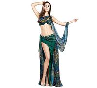 ROYAL SMEELA Costumes de Danse du Ventre Rétro Floral Mousseline Jupes Maxi Soutien-Gorge Chaîne de Taille Châle avec Anneau de Bras 4pcs Ensemble Femmes Robe Danse Orientale Tenue Danseuse Orientale