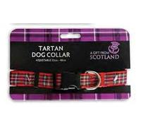 Royal Stewart Rouge Tartan Collier De Chien - Ajustable 32cm - 48cm