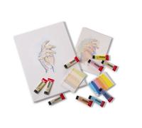 ROYAL TALENS Peinture acrylique AMSTERDAM Pastel, 12 x 20 ml