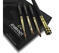 Royal Talens Rembrandt Lot de 3 pinceaux pour aquarelle avec rallonge