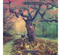 Royal Thunder - Crooked Doors [Vinyl LP]