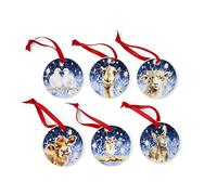 Royal Worcester Wrendale Designs Lot de 6 décorations pour Sapin de Noël