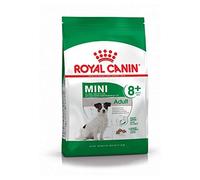 RoyalCanin Mini Adulte 8 kg 8 + pour chiens de petites races | Nourriture gastro-intestinal avec grand goût qui contrôle le poids, élimine le tartre dentaire et maintient le poil et la peau sains