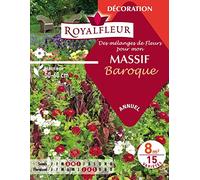 Royalfleur PFRE08634 Graines de des Mélange de Fleurs mon Massif Baroque 8 m²