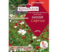 Royalfleur PFRE08697 Graines de Mélange de Fleurs mon Massif Caprice 8 m²