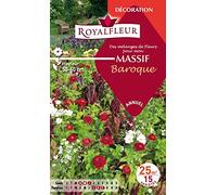 Royalfleur PFRF08634 Graines de Mélange de Fleurs mon Massif Baroque 25 m²