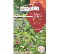 Royalfleur PFRF21442 Graines de des Mélange de Fleurs mon Massif Pourpre Chic 25 m²