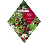 Royalfleur PFRK08634 Graines de Mélange de Fleurs mon Massif Baroque 3 m²
