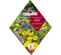 Royalfleur PFRK08692 Graines de Mélange de Fleurs mon Massif Chambord 3 m²