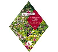 Royalfleur PFRK21442 Graines de Mélange de Fleurs mon Massif Purple Chic 3 m²
