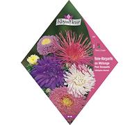 Royalfleur PFRV00280 Graines de Reine Margot en Mélange pour Bouquets