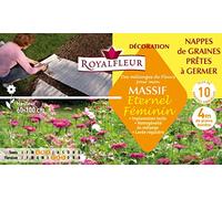Royalfleur PFS308682 Graines de des Mélange de Fleurs mon Massif Eternal Féminin-Nappe