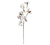 royalr 10 Chefs Gossypium Fleur de Coton artificiels Pétales Naturelles Fleurs séchées Branche Coton Tige de Cadeau de Noël Fausse Fleur