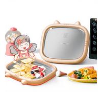 Royalstar Machine à glace Plaque à glace en rouleau Yaourt glacé et fruits Bac à glaçons en acier inoxydable 304 Machine à glaçons