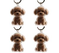 ROYJJ Lot de 2/3/4/5/10 porte-clés transparents avec compartiment pour chiens et chats - Collection de fourrures - Pendentifs - Cadeau