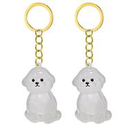 ROYJJ Lot de 2/3/4/5/10 porte-clés transparents avec compartiment pour chiens et chats - Collection de fourrures - Pendentifs - Cadeau