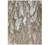 Roylco Terrific Tree Lot de 32 Feuilles de Papier Artisanal