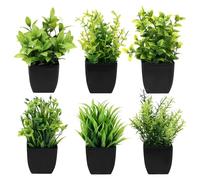 Royouzi Lot de 6 Plantes Artificielles Interieur, Petites Plantes en Pot, Eucalyptus en pour Décoration Intérieure Chambres, pour Bureau, Chambre, Salle de Bain, Cuisine et Salon