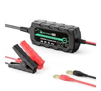 RoyPow Chargeur Mainteneur de Batterie Automatique Intelligent 12 V/6 V 1A pour Batteries Lithium-ION Plomb-Acide LiFePO4 et Motos