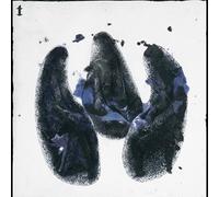 Roz Vitalis - Quia Nesciunt Quid Faciunt [Import]