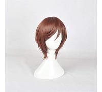 Rozen Maiden Souseiseki Cosplay perruques cheveux synthétiques brun fibre résistant à la chaleur cheveux Rozenmaiden Peruca Anime perruque KUWS2996
