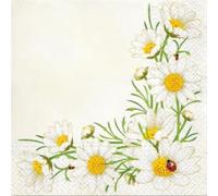 RP 20 Servietten Bunch of Marguerites cream - Bordüre voller Margeriten 33x33cm