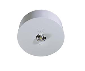 Rp-technik Lumière de sécurité SC, 3h - Luminaire de secours 3h ILDK423SC