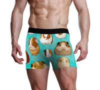 RPLIFE Boxer pour homme - Joli cochon d'Inde - Respirant - Coloré, Cochon d'Inde mignon et coloré, Small