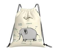 RQLNBOBZ Anatomie d'un éléphant Sacs à dos décontractés et portables avec cordon de serrage Sac de sport Sacs à livres pour hommes et femmes École