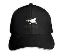 RQLNBOBZ Casquette de Baseball Silly Goose on The Loose Gentleman Hat Chapeau d'homme de Luxe Alpinisme Visière Thermique Chapeaux pour Hommes
