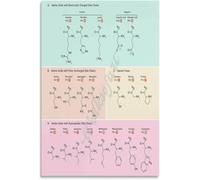 RQLVZHGK Amino Acids and Codons Chart Poster Genetic Code Biology Wall-Art for Study Room Laboratory Decor Unframed,16x24inch(40x60cm)