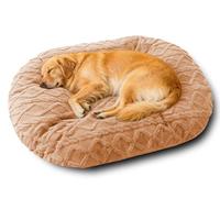 Rr tianshi Coussin ovale de très grande taille pour animal de compagnie lavable, confortable et apaisant avec housse en peluche amovible - Matelas chaud pour chats et chiens d'intérieur - Anti-anxiété