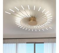 RRBEST Plafonnier LED Moderne Pour Salon,Acrylique Luminaire Plafonnier,Intérieur Design lampes de décoration pour salon chambre à coucher et salle à manger(Or,42 Tête)