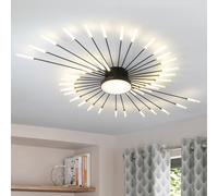 RRBEST Plafonnier LED Moderne Pour Salon,Acrylique Luminaire Plafonnier,Intérieur Design lampes de décoration pour salon chambre à coucher et salle à manger(Noir,42+1 Tête)