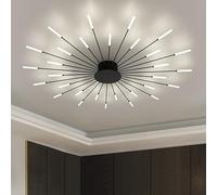 RRBEST Plafonnier LED Moderne Pour Salon,Acrylique Luminaire Plafonnier,Intérieur Design lampes de décoration pour salon chambre à coucher et salle à manger(Noir,30 Tête)
