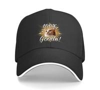 RRCRUHG Rapport de comportement Classique de Casquette de Baseball Visière Golf Cheval Alpinisme Hommes Femme décontractée Respirante Ajustable Coupe en Coton