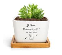 RRIGETEN Cadeau Saint Valentin Couple Cadeau Couple Pot De Fleur Interieur Cadeaux pour Couple Cadeaux Copine pour Sa Copine pour Son Copain Mari pour Ma Femme Amoureux Noel