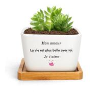 RRIGETEN Cadeau St Valentin Couple Cadeau Couple Pot De Fleur Interieur Cadeaux pour Couple Cadeaux pour Sa Copine pour Son Copain Mari pour Ma Femme Amoureux Noel